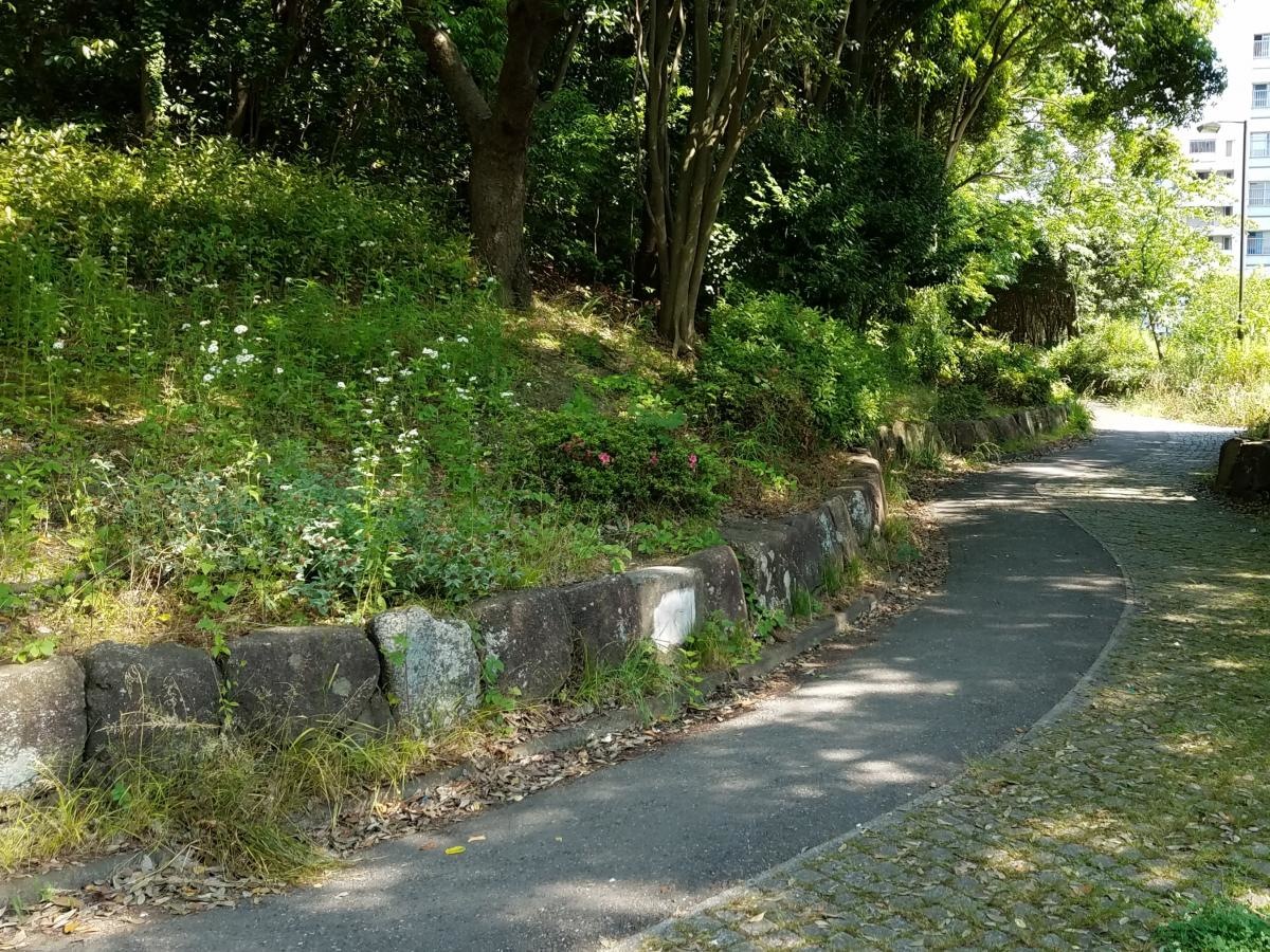 金沢緑地