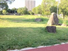 緑公園