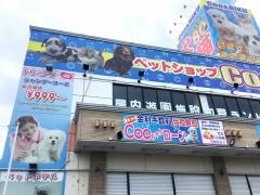 ペットショップＣＯＯ＆ＲＩＫＵ大分店