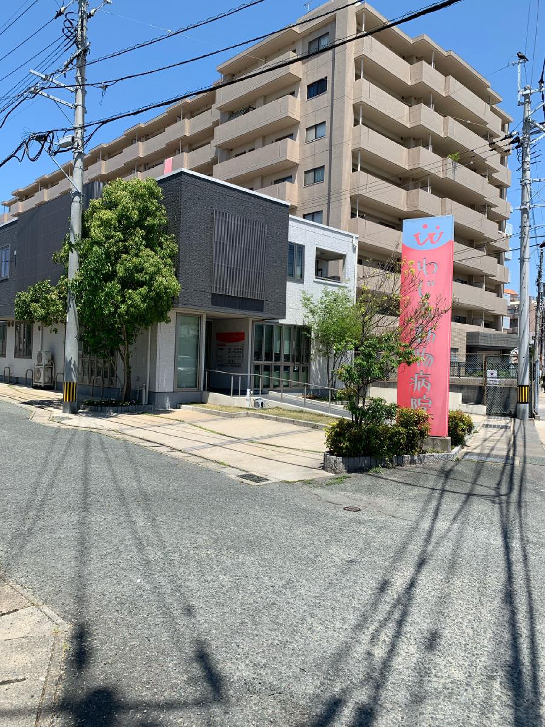 和 白 動物 病院