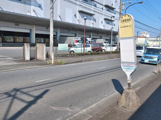 投稿写真1