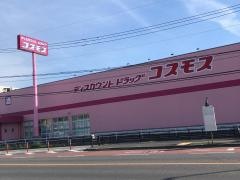 ドラッグストアコスモス　新宮店
