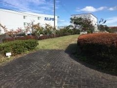 沢田緑道