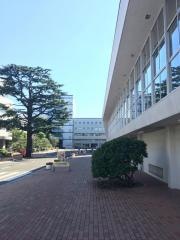 昭和女子大学