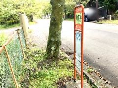 「池下林」バス停留所