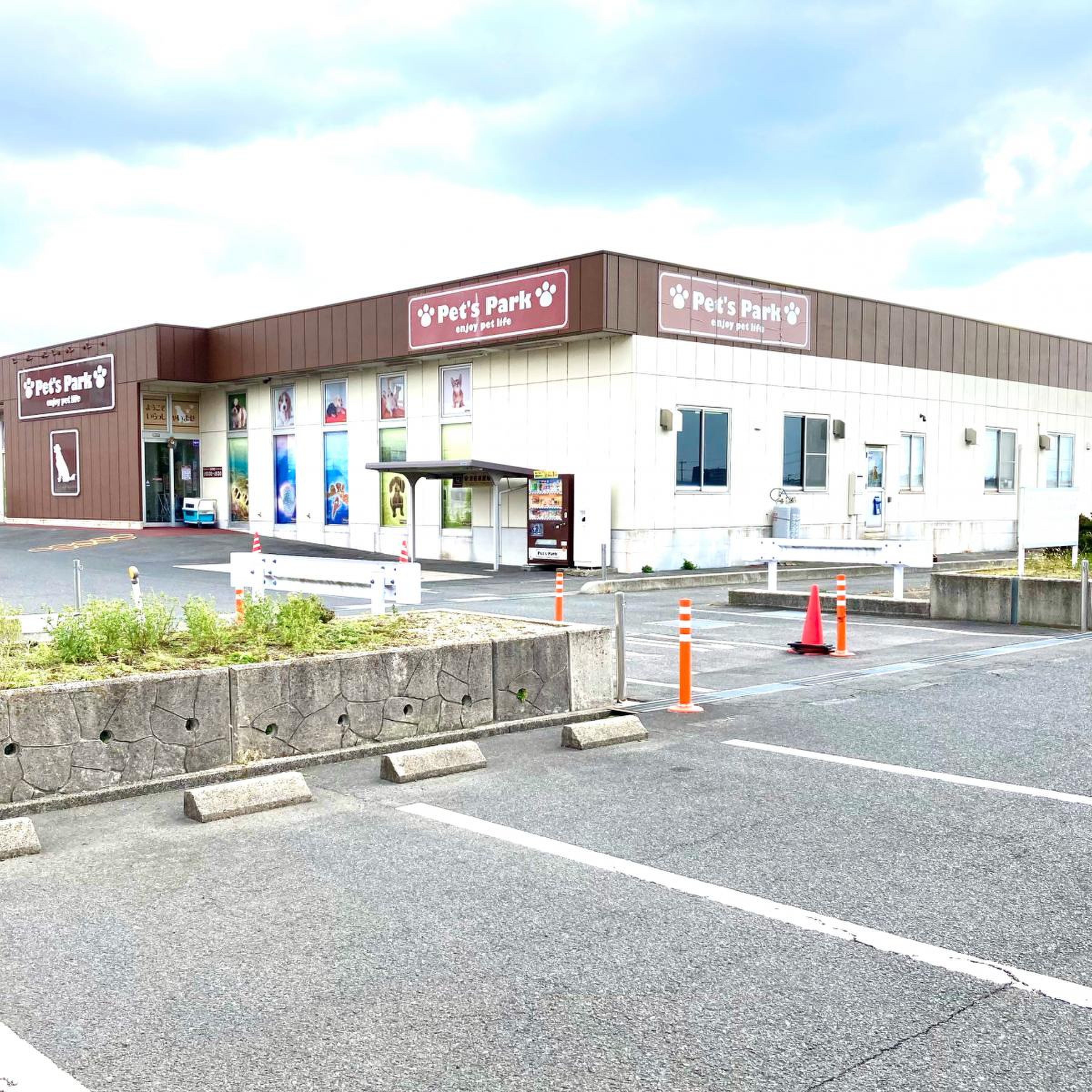 当時のメディア報道・掲載写真