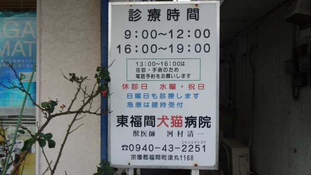 投稿写真2