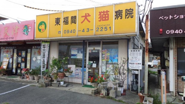 投稿写真1