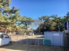 認定こども園　片浜桜