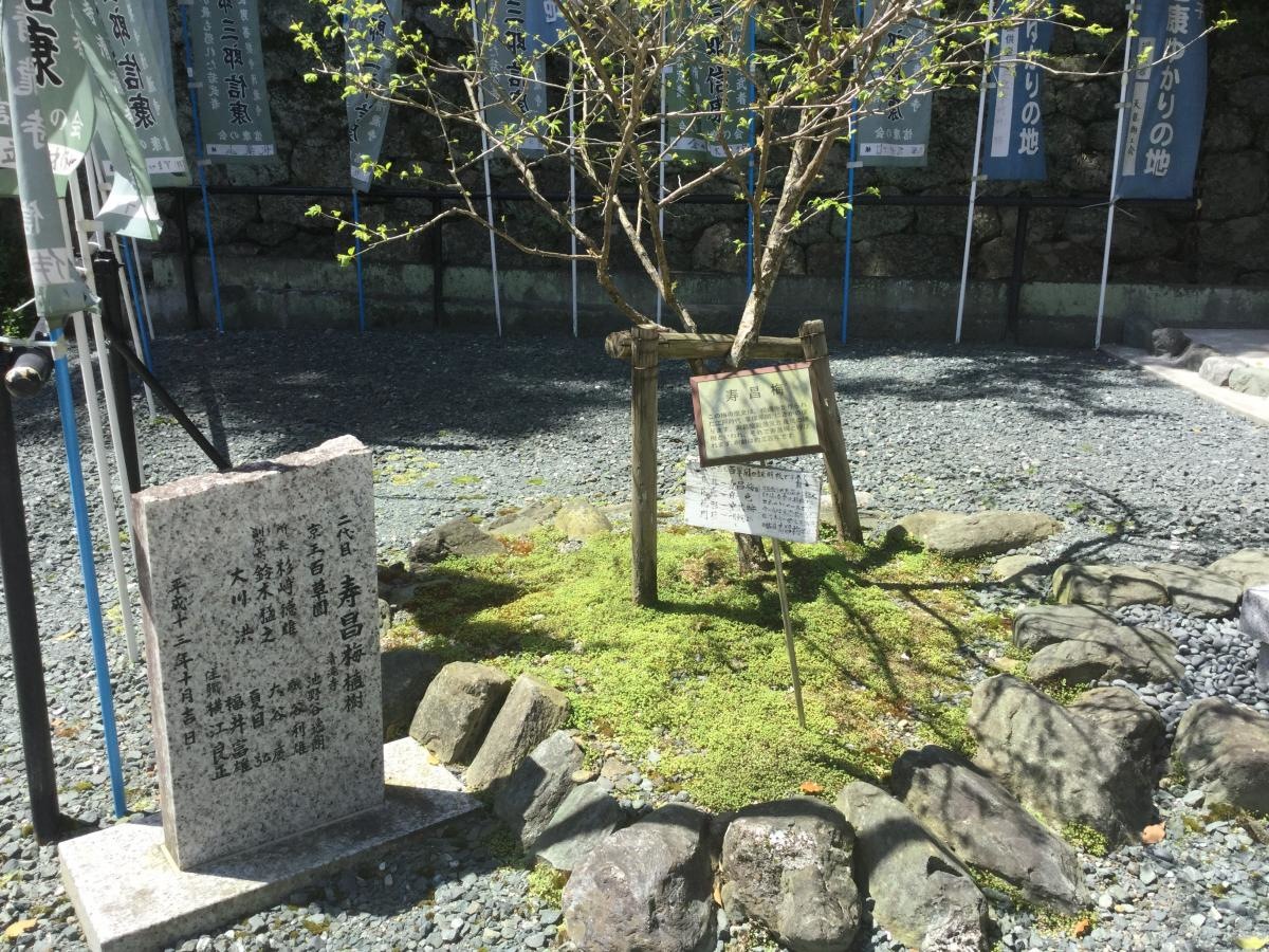 清瀧寺