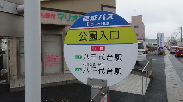 投稿写真4