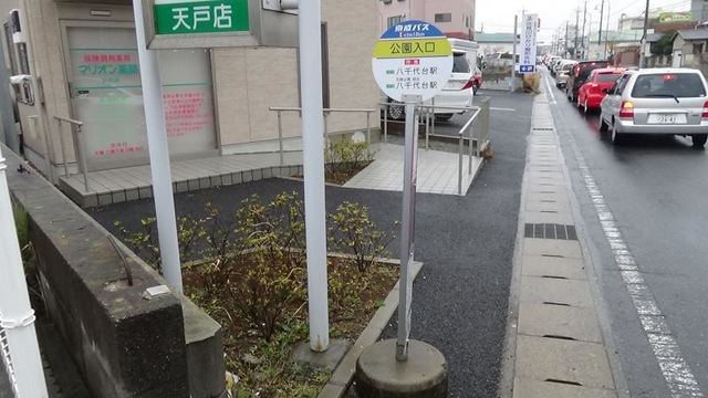 投稿写真1
