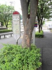 「稲城中央橋」バス停留所