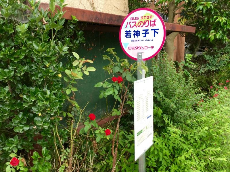 外観です。