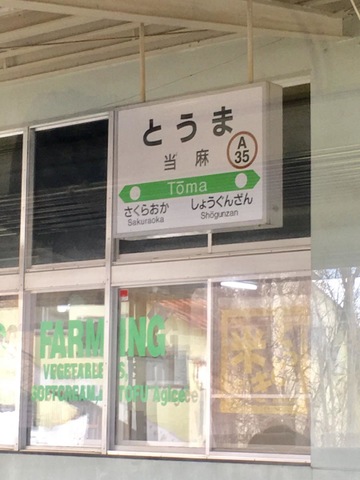 投稿写真2
