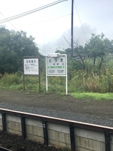 投稿写真1