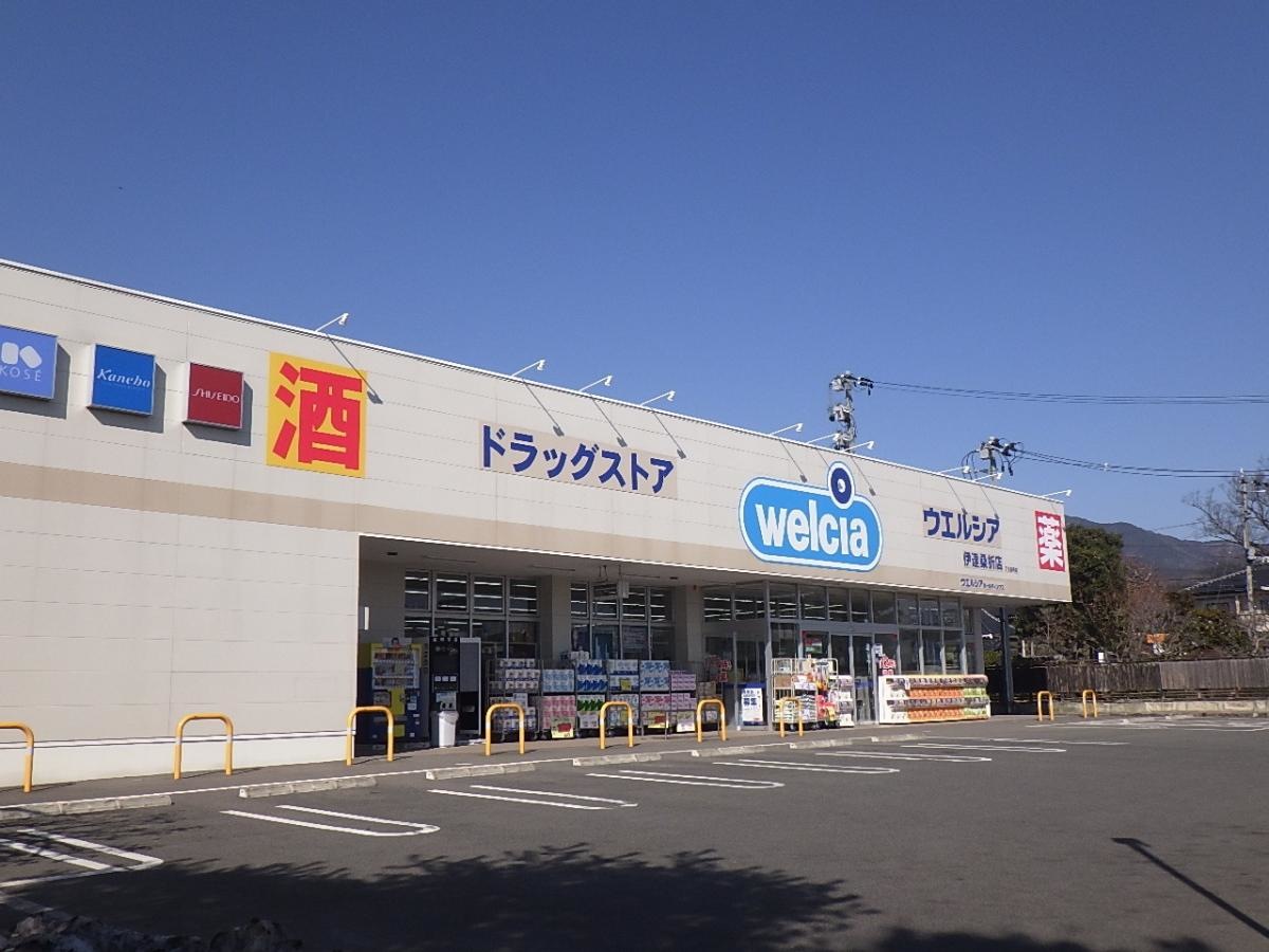 全景