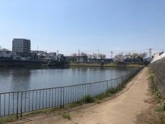 鳴子池街園