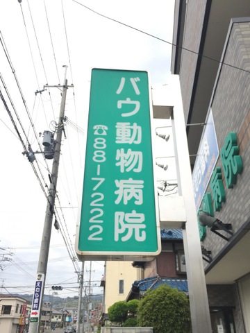 投稿写真1