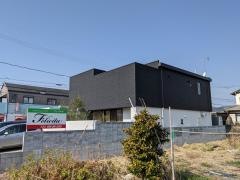 フェリチタ