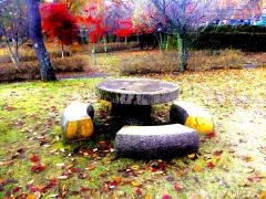 旭日丘湖畔緑地公園