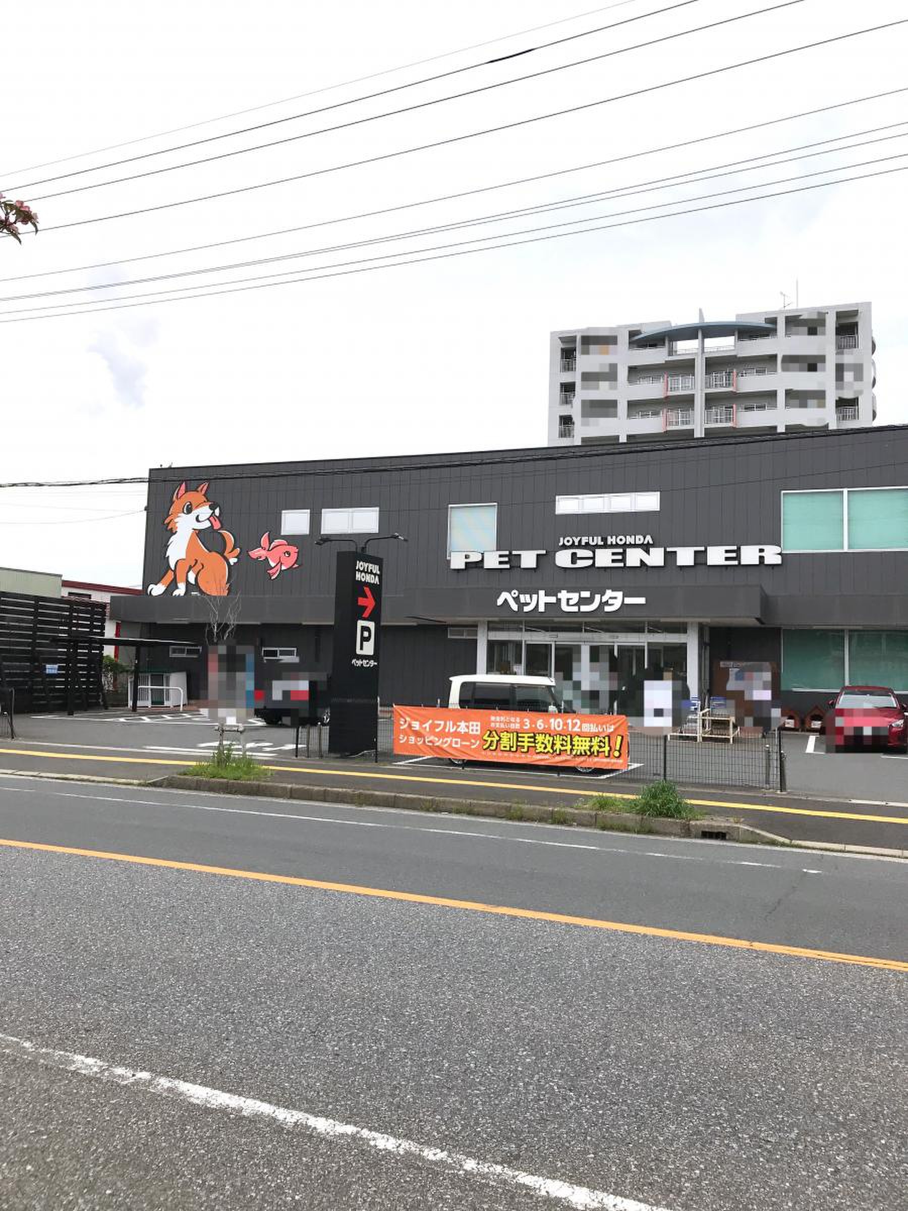 ジョイフル 本田 市原 店