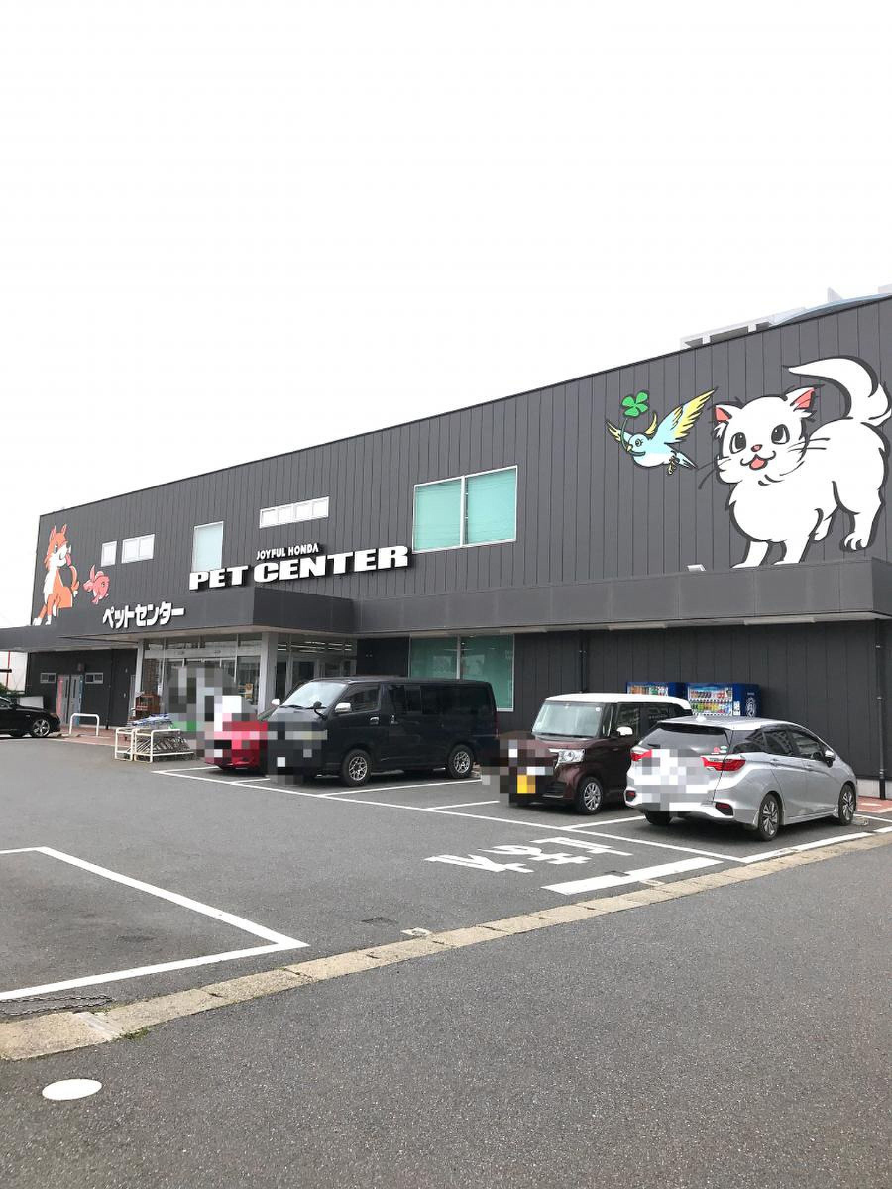 ジョイフル 本田 市原 店