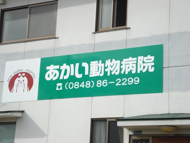 投稿写真2