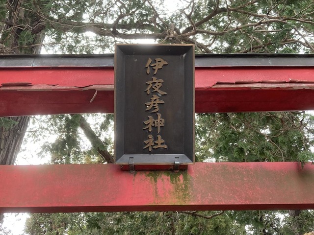 投稿写真5