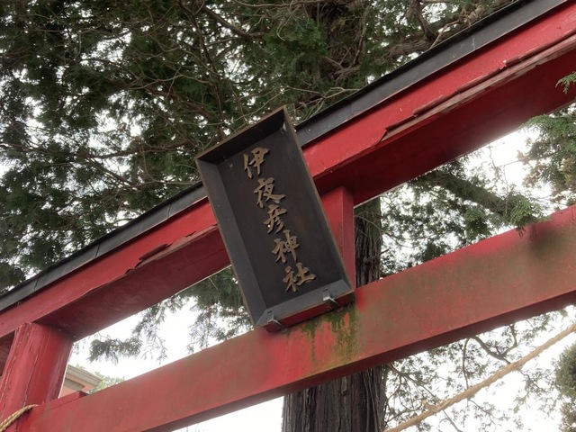 投稿写真4