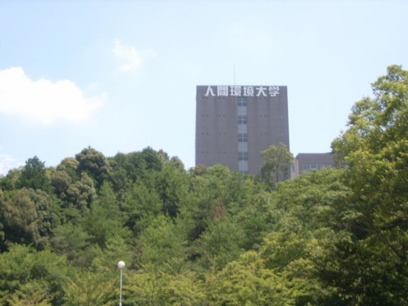 遠くからでも・・・