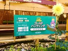 鯛生金山家族旅行村