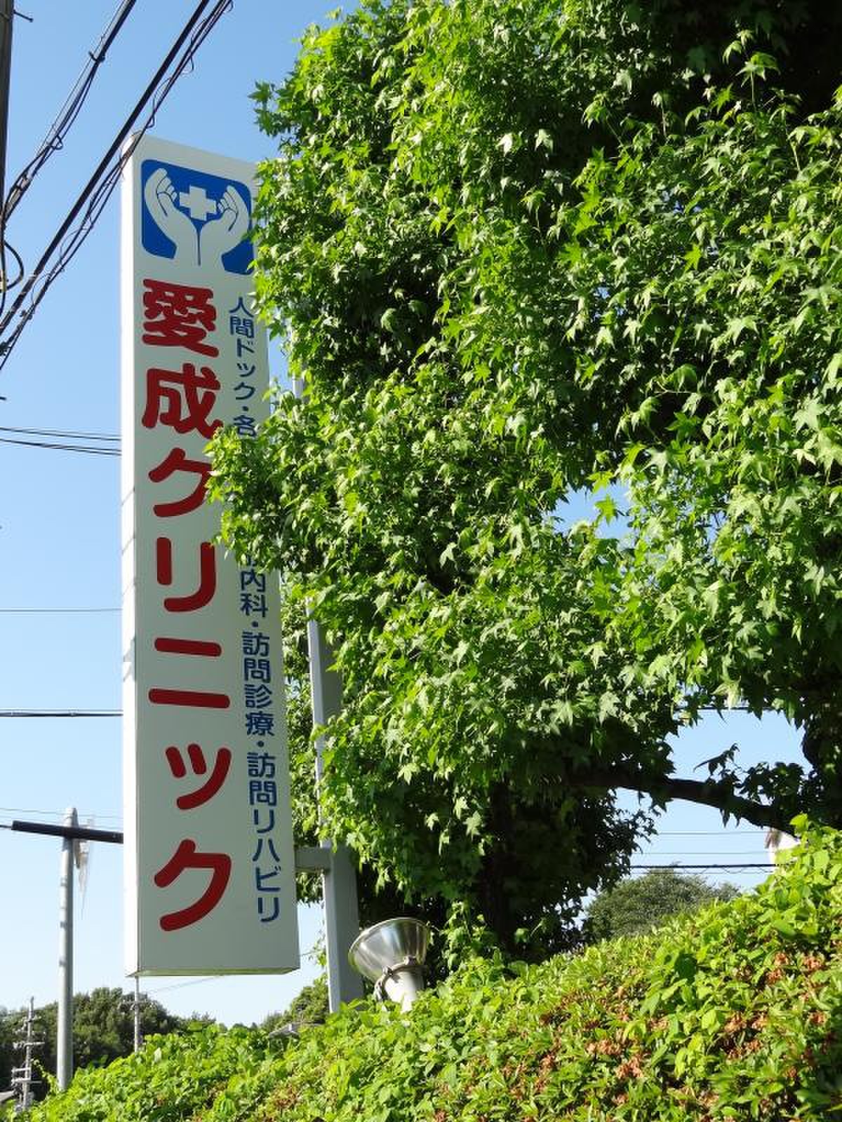 愛 成 クリニック