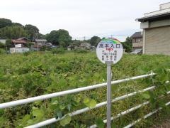 「高本入口」バス停留所