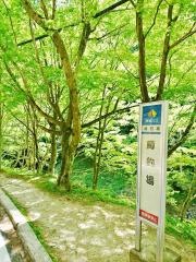 「鱒釣場」バス停留所