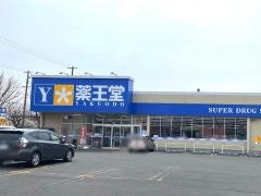 薬王堂　盛岡津志田店