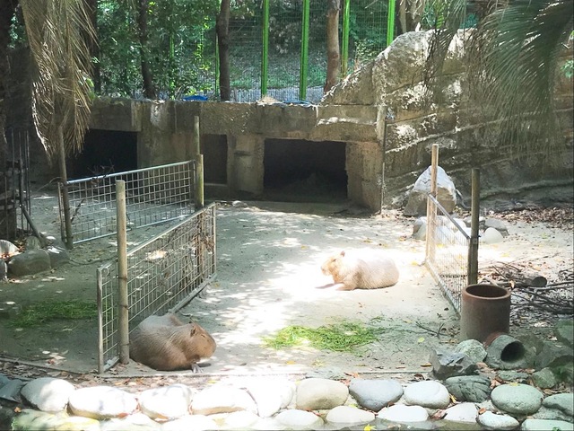 施設写真658
