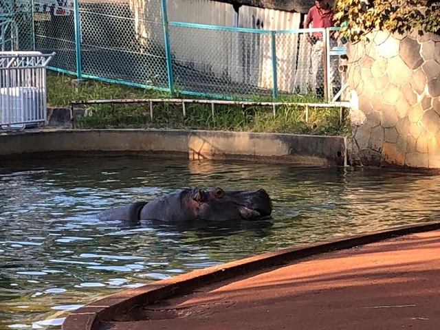 施設写真466