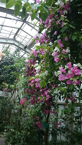 施設写真1202