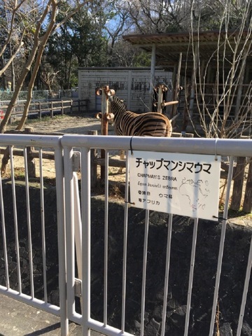 施設写真894