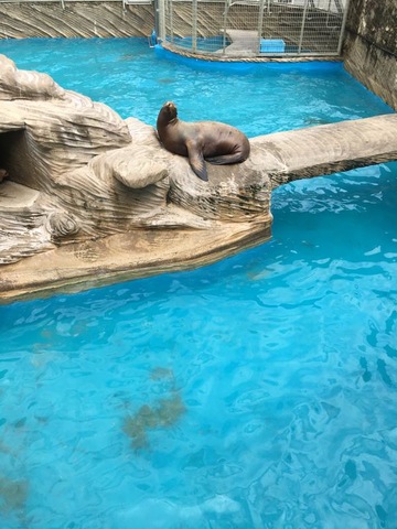 施設写真1044
