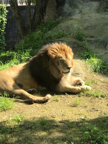 施設写真867