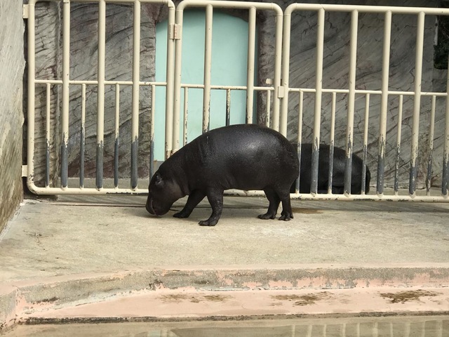 施設写真312