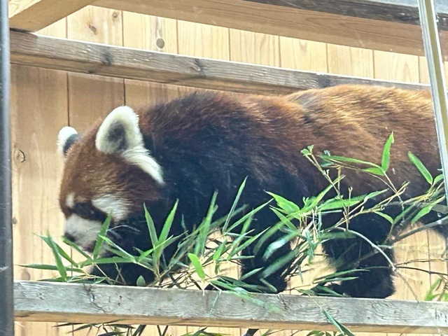 施設写真62