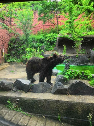 施設写真547