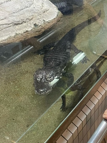 施設写真125