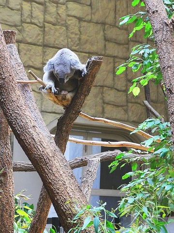 施設写真1067