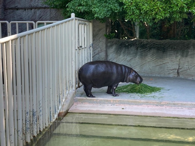 施設写真256