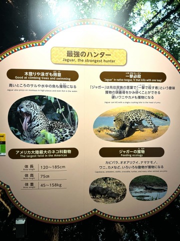 施設写真53