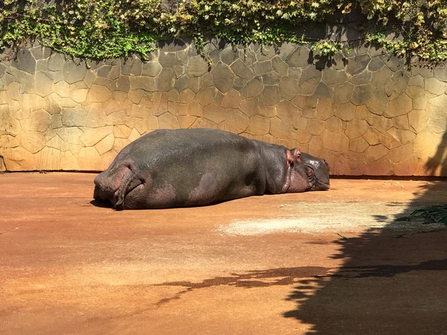 施設写真538